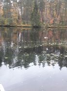 Ähtärinjärvi (35.433.1.001)/Valtakunnallinen sinileväseuranta (Ähtärinsalmi)