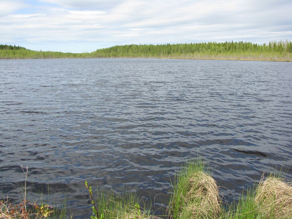 Haisunjärvi.JPG