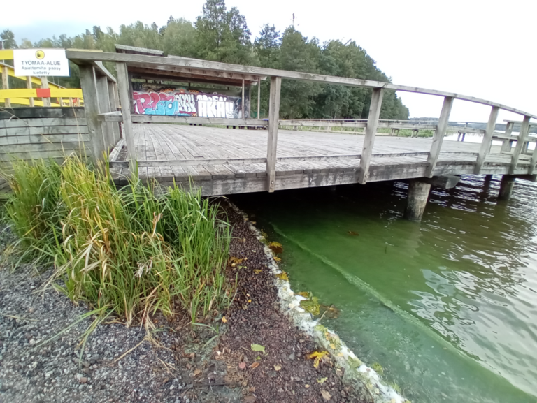 Hiidenvesi (23.031.1.001)-Kirkkojärvi Vihti kk-ObsIMG-202309170910-650965ea1a702.png