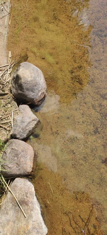 Huuhtjärvi (14.974.1.009)-Havaintopaikka 1-ObsIMG-202306201346-6491842c4ea16.png