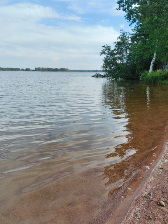 Köyliönjärvi (34.054.1.001)-Valtakunnallinen sinileväseuranta (Yttilän Otta)-ObsALG-202507230835-1753248988265.png