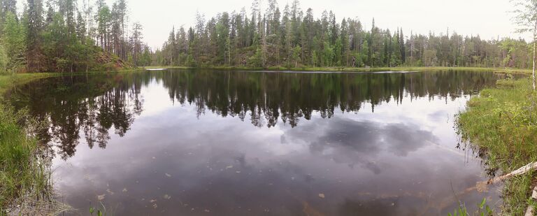 Kitkajoen alaosan alue (73.021)-Havaintopaikka 2-ObsIMG-201707171505-44.jpg