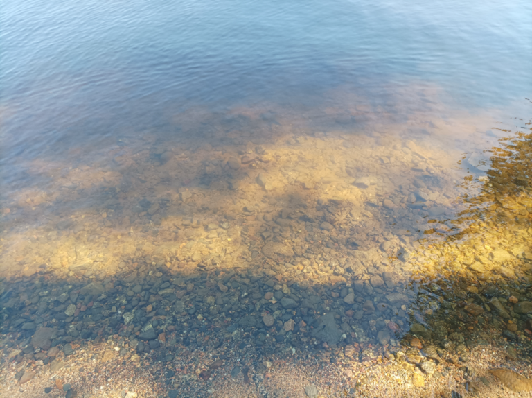 Lappajärvi (47.031.1.001)-Valtakunnallinen sinileväseuranta (Kivitippu)-ObsIMG-202106291611-60db1d1349948.png