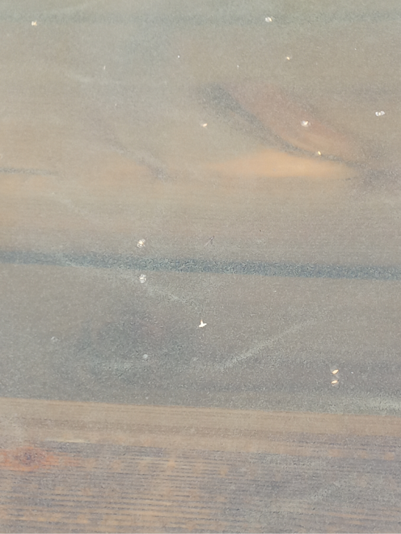 Mytäjärvi (18.042.1.002)-Uimaranta-ObsIMG-202307142002-64b17fb7b484c.png