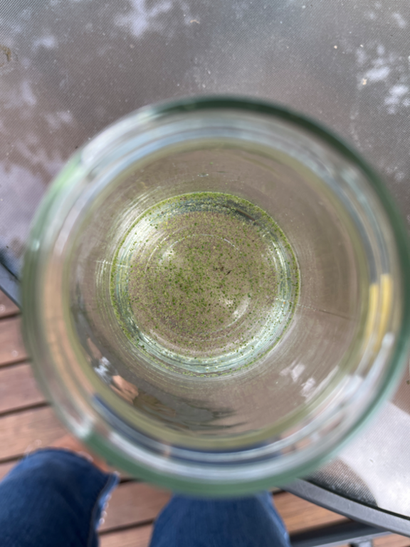 Vihtijärvi (23.093.1.001)-Ainolantie-ObsALG-202406241150-667933e82829e.png