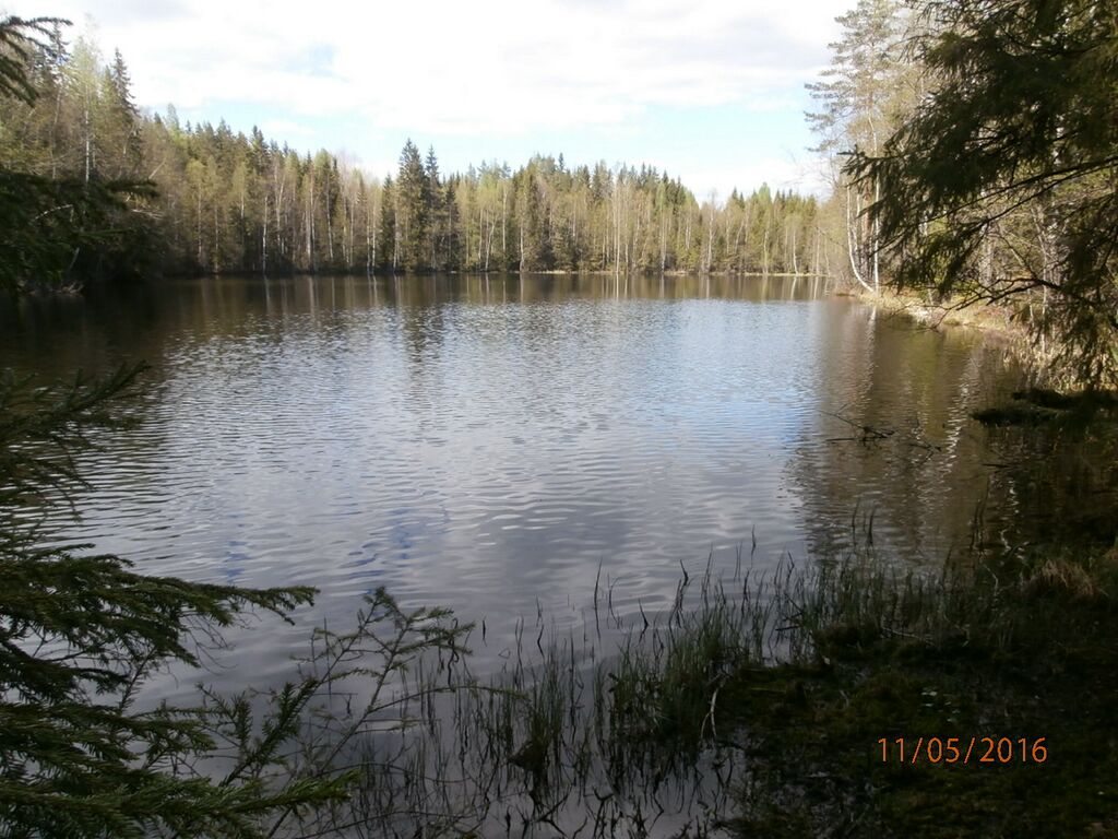 Pohjalampi etelakarki.JPG