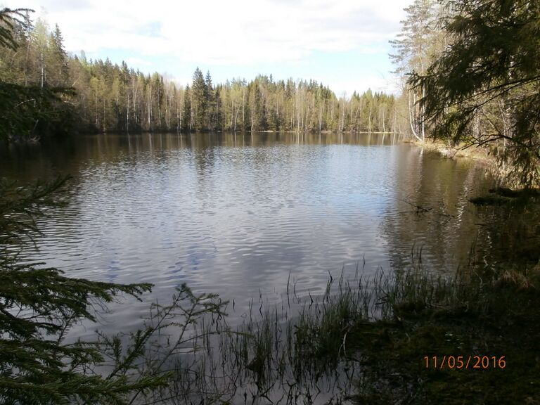 Pohjalampi etelakarki.JPG