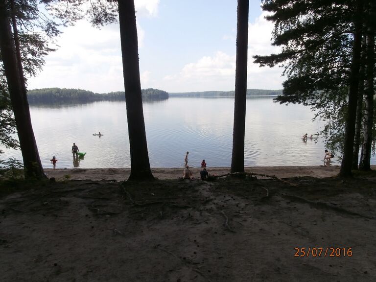 Puujarvi 1.JPG