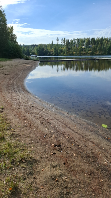 Rautavesi (14.831.1.001)-Valtakunnallinen sinileväseuranta (Angesselkä, Joutsan uimaranta)-ObsIMG-202509031020-1756884063185.png