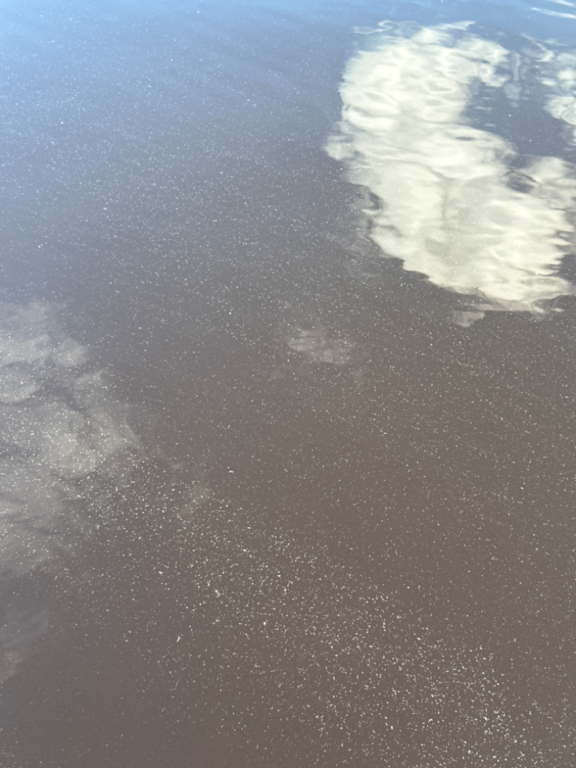 Ukonvesi (Saimaa) (04.151.1.001)-Koivukummunpolku-ObsALG-202406261826-667c338ab0be5.png