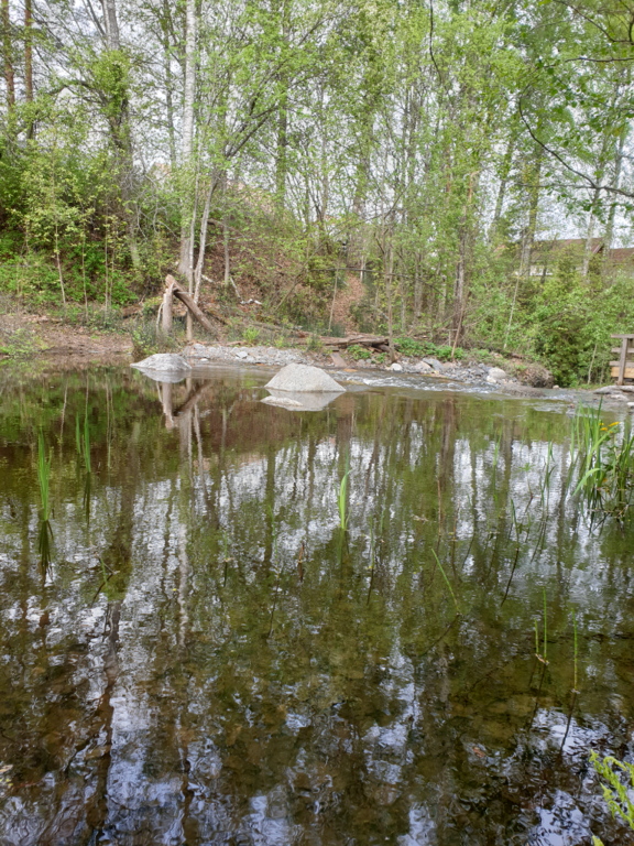 Urpolanjoen valuma-alue (04.152)-Vanha pato-ObsIMG-202305181109-6465dd5e61b08.png