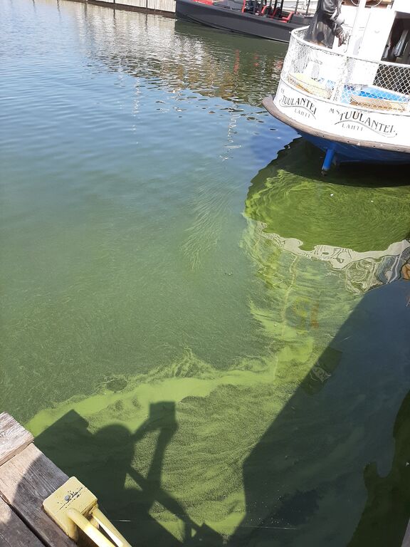 Vesijärvi (14.241.1.001)-Lahdensatama-ObsIMG-202006241256-45.jpg