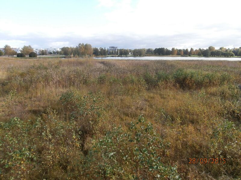 Tiedosto:Jarvenpaan lintutornista 1.JPG