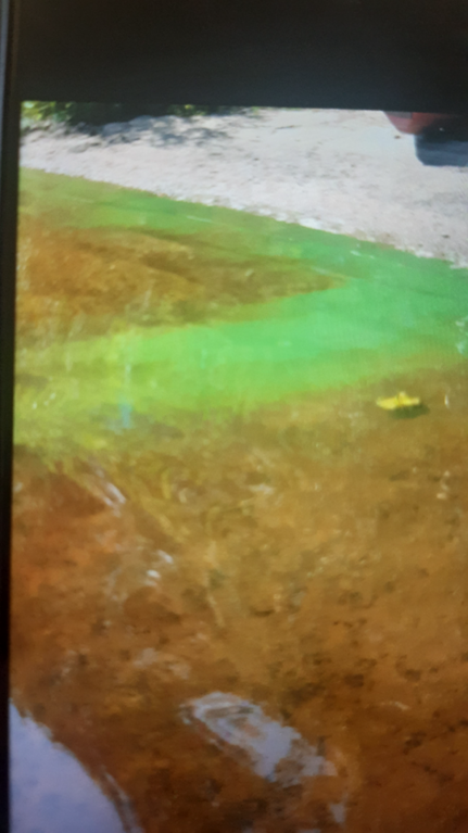 Korpinen (04.641.1.003)-Havaintopaikka 1-ObsIMG-202507131210-68737a978b314.png