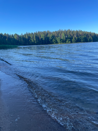 Pyhäjärvi (14.121.1.004)-Valtakunnallinen sinileväseuranta (Kirkkojärvi, Heinlahden uimaranta)-ObsIMG-202606230756-1782190698896.png