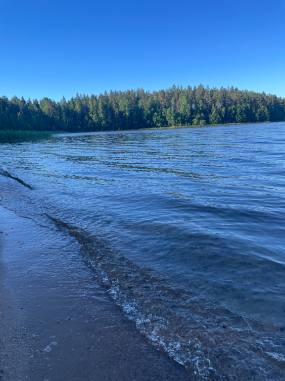 Pyhäjärvi (14.121.1.004)-Valtakunnallinen sinileväseuranta (Kirkkojärvi, Heinlahden uimaranta)-ObsIMG-202606230756-1782190698896.png