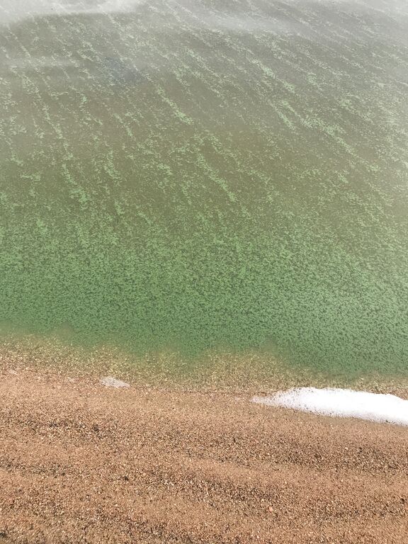 Aalisjärvi (67.954.1.001)-Aalisjärvi-ObsIMG-201807060951-98.jpeg