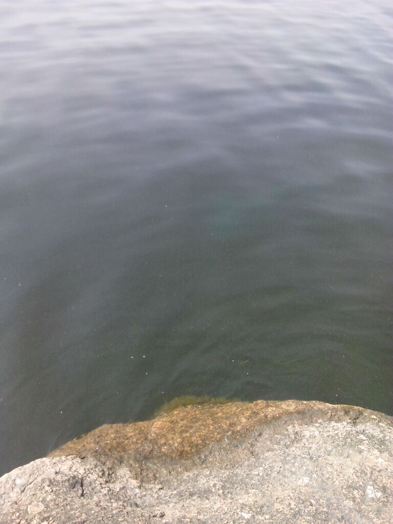 IMG 20140809 120230.jpg