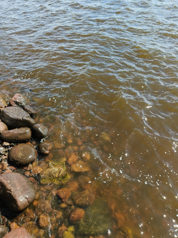 Köyliönjärvi (34.054.1.001)-Valtakunnallinen sinileväseuranta (Yttilän Otta)-ObsALG-202406111539-666848e9e0bce.png