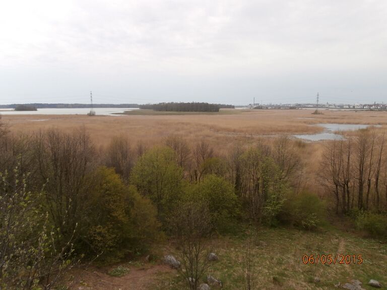 Keinumäen lintutornista.JPG