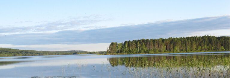 Näljänkäjärvi ja Isosaari.JPG
