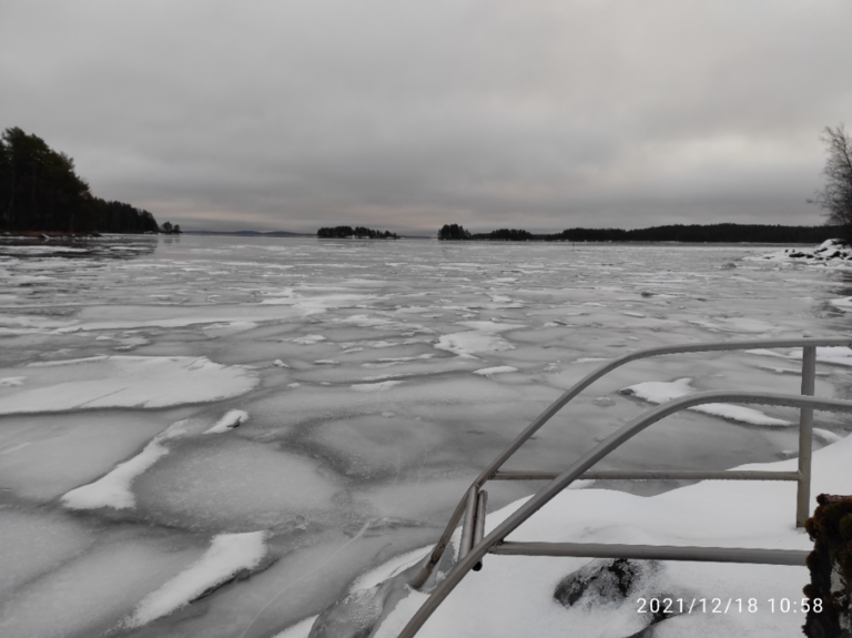 Päijänne (yhd.)-Saametsä-ObsIMG-202112181656-61bdf8ec33f5f.png