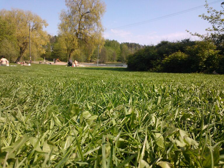 10364437 10152466168294721 1311012215 o.jpg