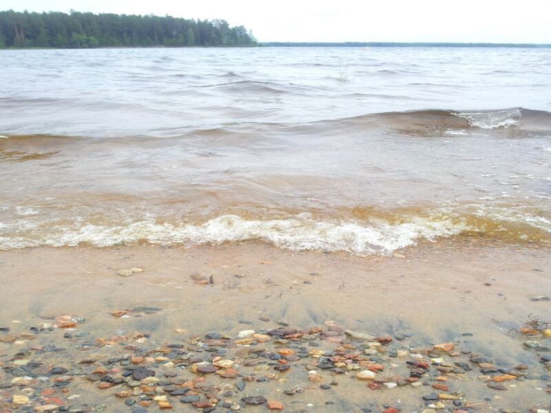 Tiedosto:20130722 155349.jpg