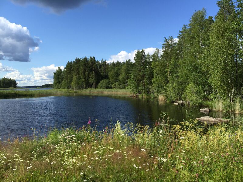 Tiedosto:Rantasalm22.jpg