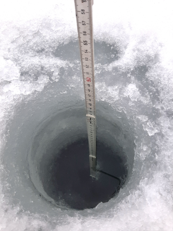 Sääksjärvi (23.097.1.002)-Sääksjärvi-ObsICE-202401291545-65b7c4a1c5898.png