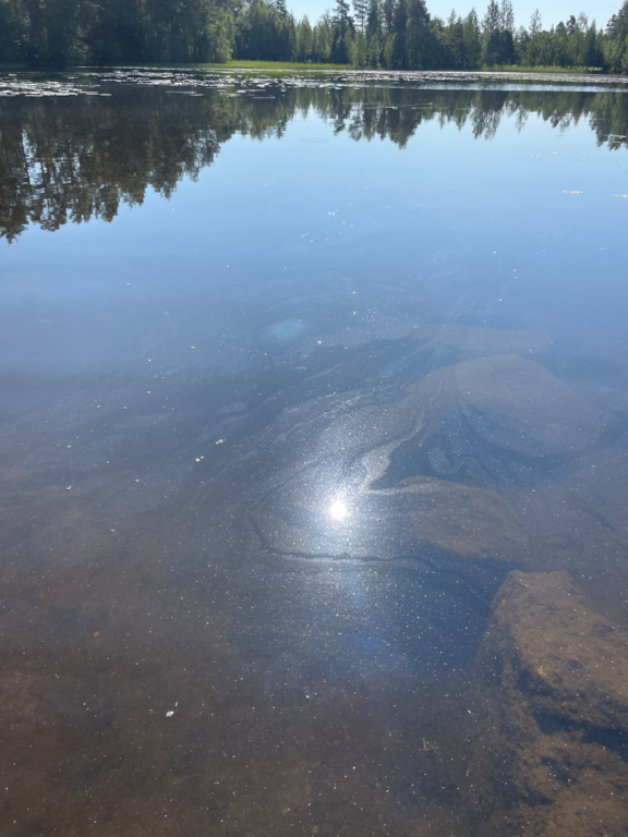 Syysjärvi (04.152.1.017)-Havaintopaikka 1-ObsALG-202507190954-687b41ad860ed.png