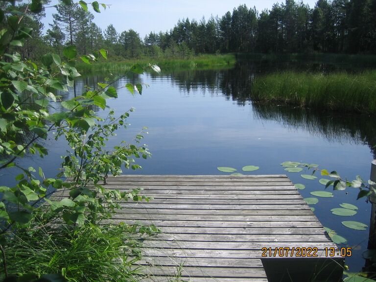 Tuppuralammen laituri.JPG