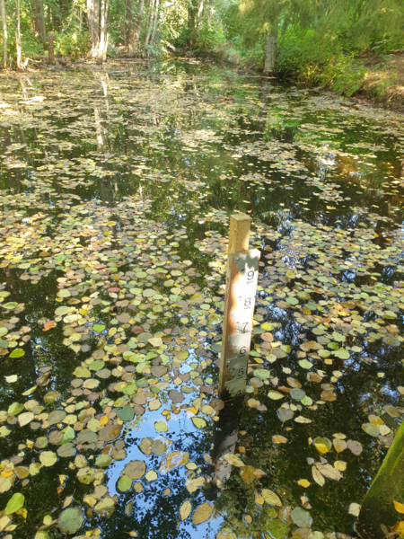 Tiedosto:Urpolanjoen valuma-alue (04.152)-Urpolan aarimaan puistoväylän silta-ObsIMG-202509101155-1757494601385.png