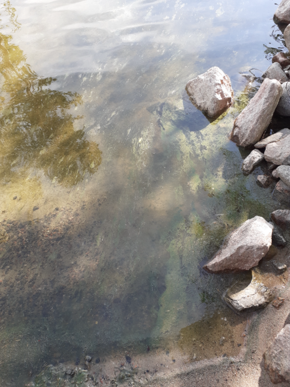 Keitele (yhd.)-Lohkare-ObsALG-202108121632-611523da9b603.png