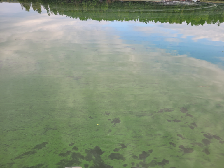 Havaintopaikka 2-ObsIMG-202307260722-64c09fc795fbd.png