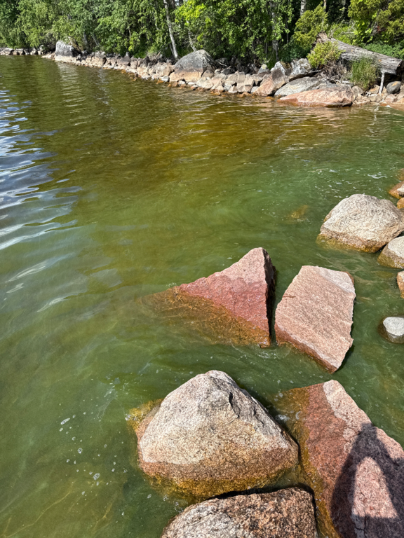 Keitele (yhd.)-Närhilä-ObsIMG-202507021415-6865153dcda83.png