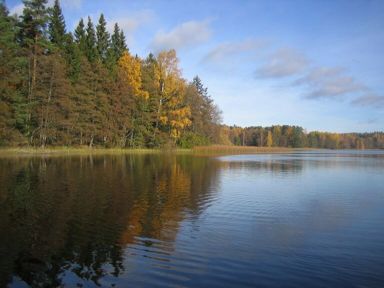 Lokakuu 2013 007.JPG