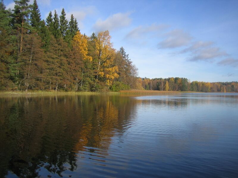 Tiedosto:Lokakuu 2013 007.JPG