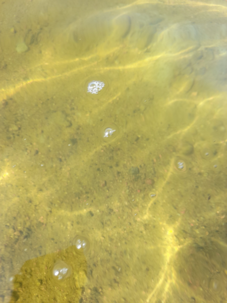 Tiedosto:Monåfjärden-Kalotfjärden-Oravais hamn uimaranta-ObsIMG-202406251019-667a708895b91.png