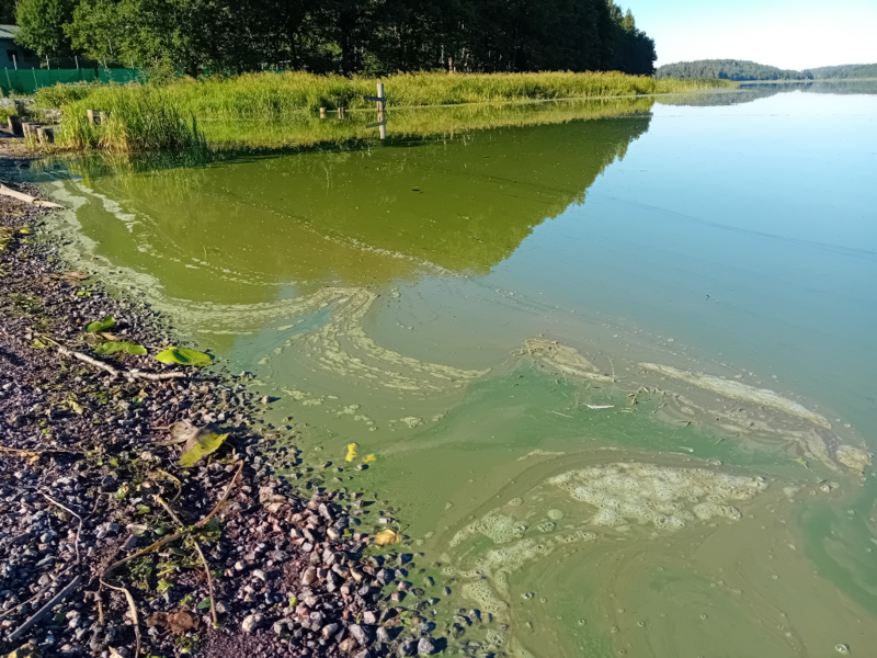 Tiedosto:Hiidenvesi (23.031.1.001)-Kirkkojärvi Vihti kk-ObsALG-202407130830-66921132b1934.png