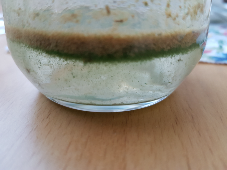 Kemijärven lähialue (65.311)-Ulkuniemi, uimaranta-ObsALG-202206251318-62b6e2377e6ec.png