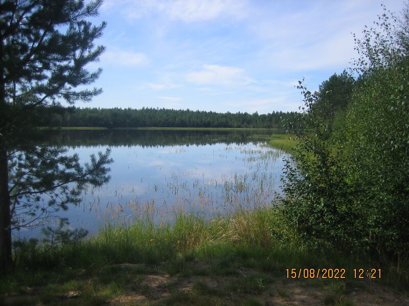 Tiedosto:Näkymä lounaaseen.JPG