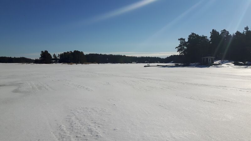 Tiedosto:Sipoon saaristo-Söderkullalandet, koillinen yhteisranta-ObsIMG-201703111205-8.jpg