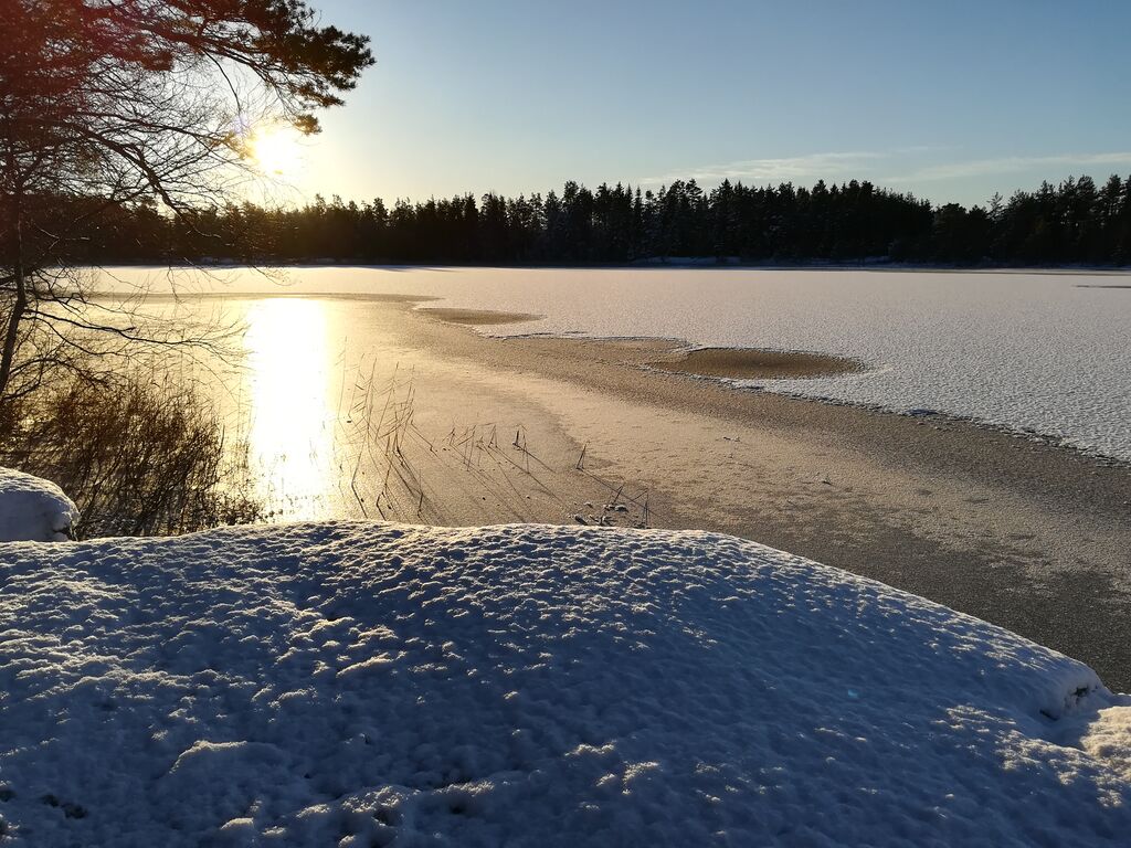 Storträsketin valuma-alue (82.008)-Havaintopaikka 1-ObsSNOW-201712061208-63.jpg