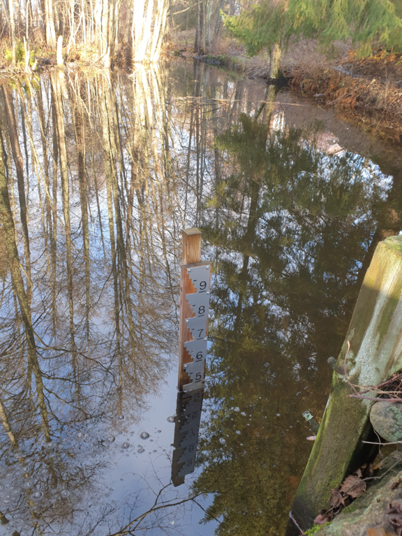 Urpolanjoen valuma-alue (04.152)-Urpolan aarimaan puistoväylän silta-ObsIMG-202511061004-1762416322923.png