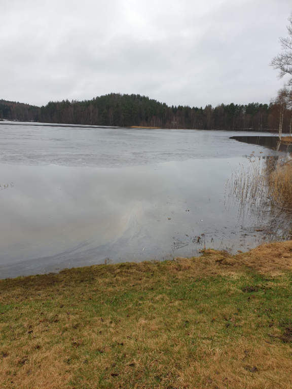 Urpolanjoen valuma-alue (04.152)-Vanha Uimaranta-ObsIMG-202304250909-64476e4ee9bda.png