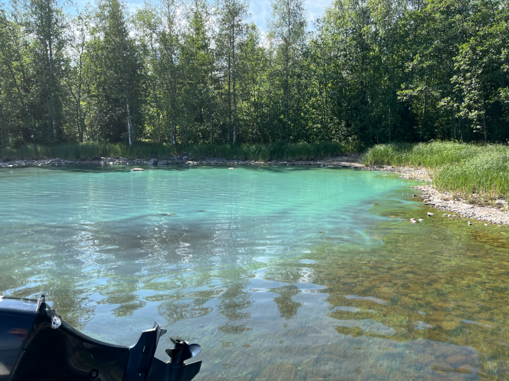 Haukivesi (Saimaa) (04.211.1.001)-Hevossalo Pieni Haukivesi-ObsIMG-202507021638-686536ef40ca6.png