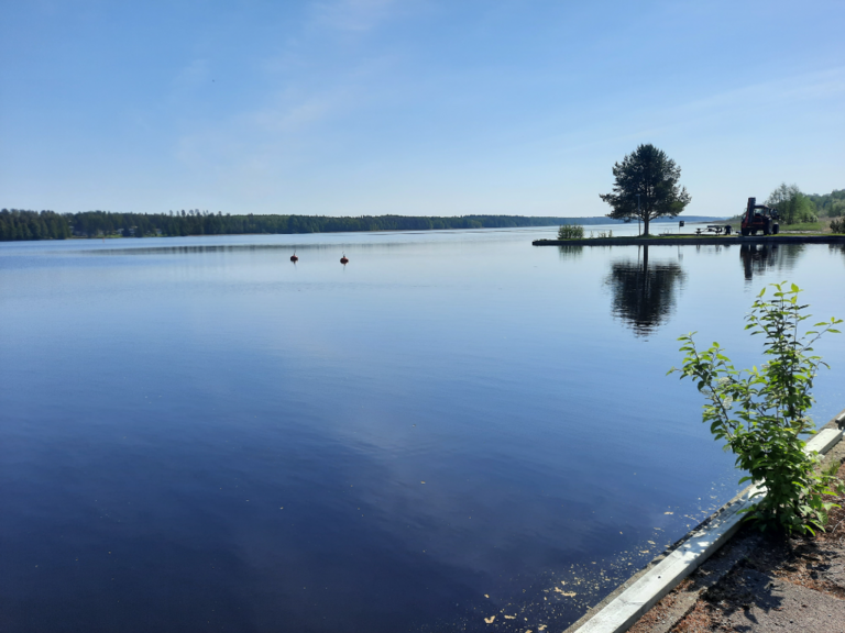 Haukivesi (Saimaa) (04.211.1.001)-Valtakunnallinen sinileväseuranta (Pieni Raudanvesi)-ObsIMG-202405281038-66558a6cd28b1.png
