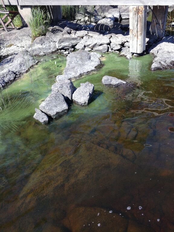 Keurusselkä - Ukonselkä (yhd.)-Hyyrynlahti-ObsIMG-202006231140-42.jpg