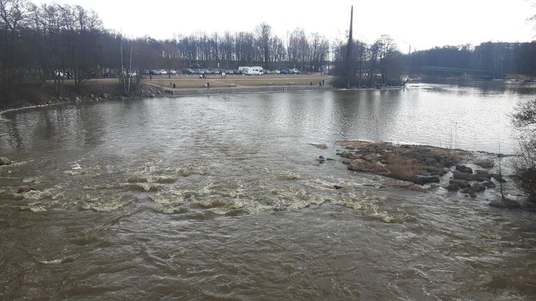 Kruunuvuorenselkä-Vanhankaupunginkosken suvanto-ObsIMG-201704111635-62.jpg